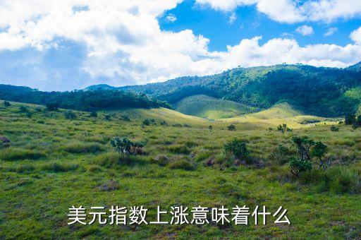 美元指數(shù)上漲什么意思，美元指數(shù)上漲下跌表明什么