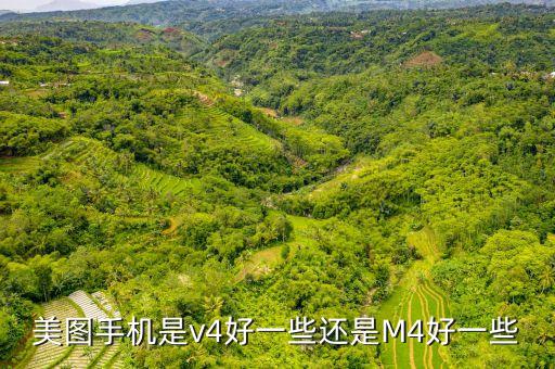 美圖v4什么時候發(fā)布，美圖v4多久上市呢天貓和京東商城多久才能上市呢