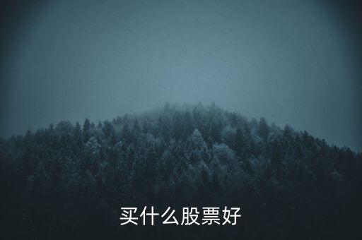 有什么好股票，什么股票比較好