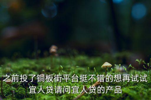 之前投了銅板街平臺(tái)挺不錯(cuò)的想再試試宜人貸請(qǐng)問(wèn)宜人貸的產(chǎn)品