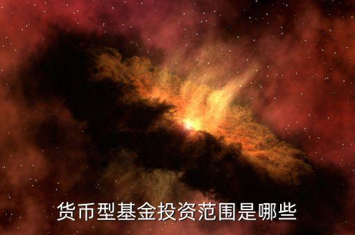 貨幣基金主要投資什么，貨幣型基金投資范圍是哪些