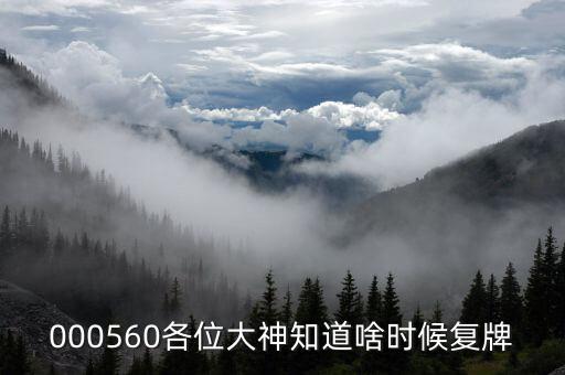 方興科技什么時候復(fù)牌，000560各位大神知道啥時候復(fù)牌