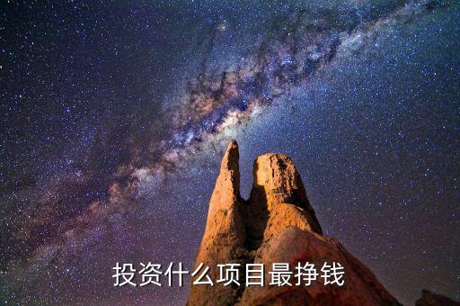 投資什么項目最掙錢