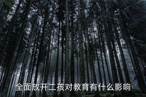 全面二孩會(huì)帶來(lái)什么影響，全面放開(kāi)二孩對(duì)教育有什么影響