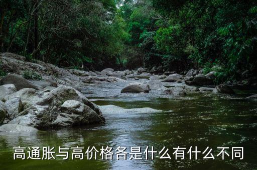 高通脹與高價(jià)格各是什么有什么不同