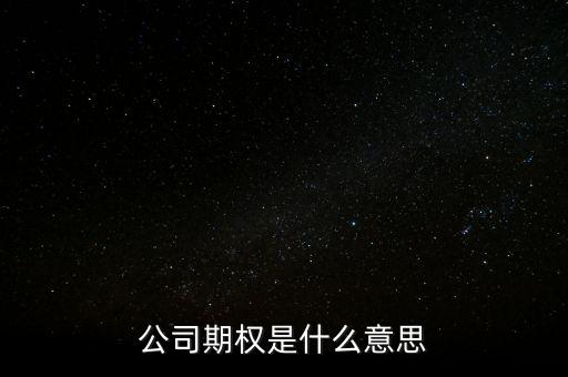 什么叫公司期權(quán)，公司期權(quán)是什么