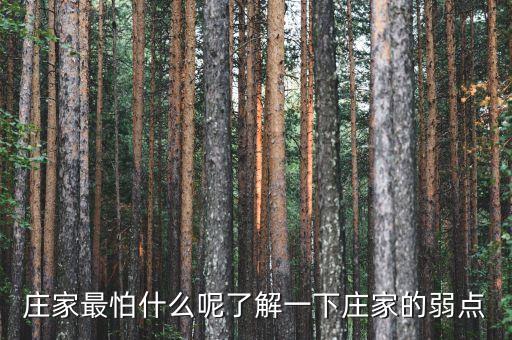 莊家最怕什么呢了解一下莊家的弱點(diǎn)