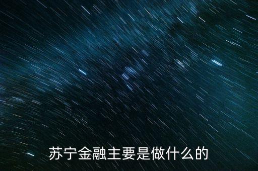 蘇寧金融主要是做什么的