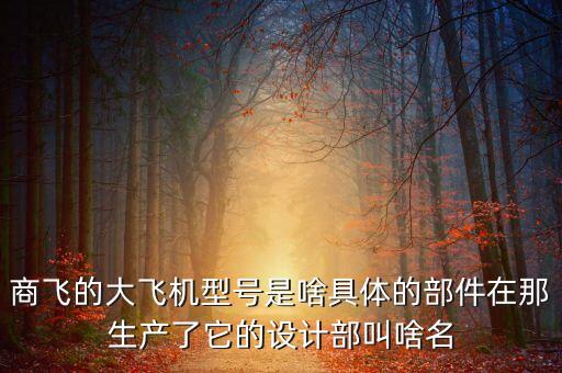 商飛的大飛機型號是啥具體的部件在那生產(chǎn)了它的設(shè)計部叫啥名