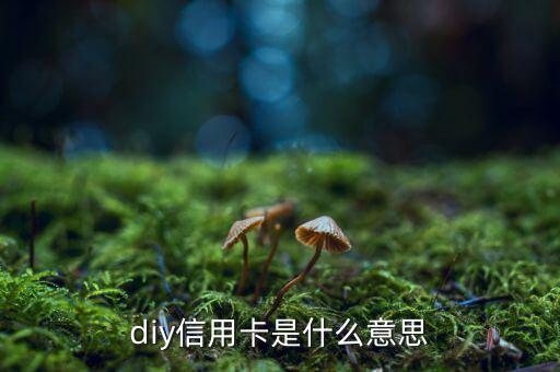 diy信用卡是什么意思，D1y信用卡是什么意思