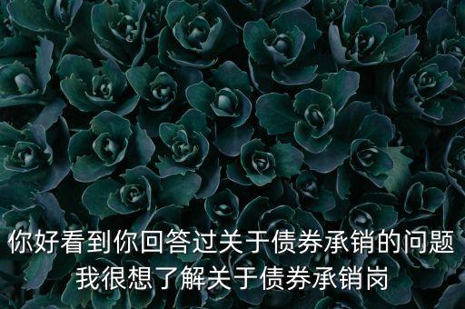 你好看到你回答過關(guān)于債券承銷的問題我很想了解關(guān)于債券承銷崗