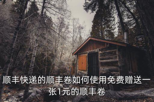 順豐快遞的順豐卷如何使用免費(fèi)贈(zèng)送一張1元的順豐卷