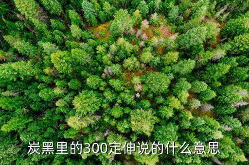 炭黑里的300定伸說(shuō)的什么意思