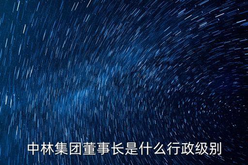 中林集團(tuán)董事長(zhǎng)是什么行政級(jí)別