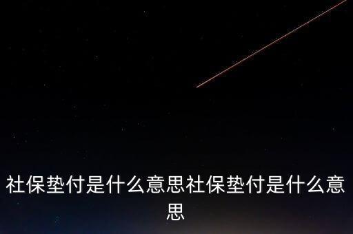 什么叫保費(fèi)墊交，社保墊付是什么意思社保墊付是什么意思