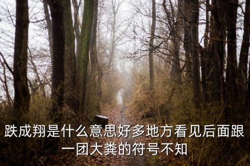 跌成翔什么意思，股市跌成翔的意思
