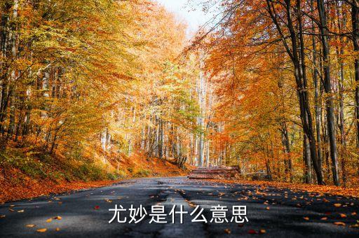 尤妙是什么意思