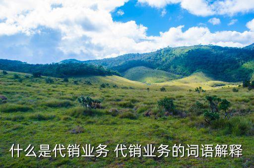 什么是銀行代銷業(yè)務(wù)，什么是銀行代銷理財(cái)產(chǎn)品