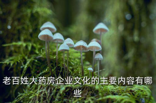 老百姓大藥房企業(yè)文化的主要內(nèi)容有哪些
