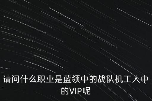 請(qǐng)問什么職業(yè)是藍(lán)領(lǐng)中的戰(zhàn)隊(duì)機(jī)工人中的VIP呢