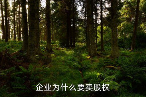 為什么大企業(yè)要賣股，企業(yè)為什么要賣股權(quán)