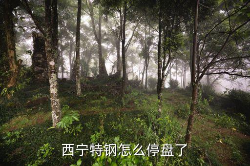 西寧特鋼為什么停牌，西寧特鋼怎么停盤了