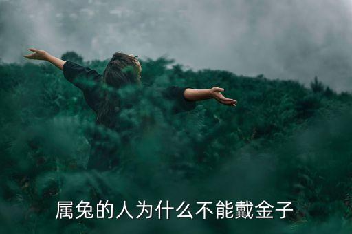 為什么屬兔的富豪多，書中自有黃金屋書中自有顏如玉解生肖