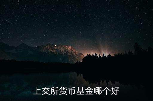 上交所貨幣基金哪個好