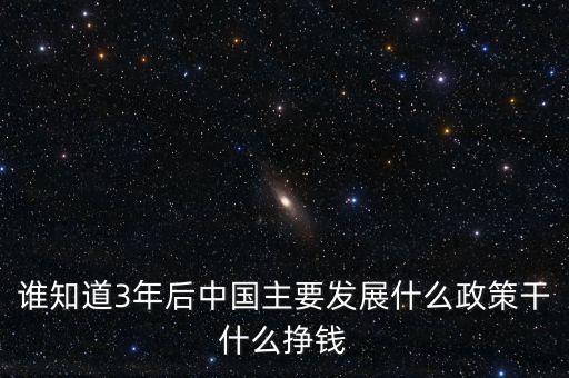 政府兜里是什么意思，誰(shuí)知道3年后中國(guó)主要發(fā)展什么政策干什么掙錢(qián)
