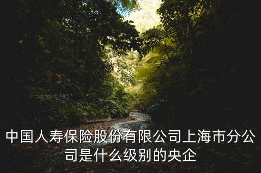 中國人壽什么級別，中國人壽是什么單位類別