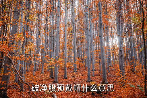 股票將要戴帽什么意思，破凈股預(yù)戴帽什么意思