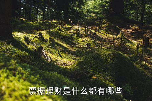 票據理財是什么都有哪些