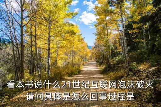 看本書說什么21世紀(jì)互聯(lián)網(wǎng)泡沫破滅請(qǐng)問具體是怎么回事過程是