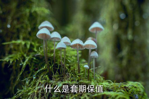 什么是套期保值交易，套期保值是什么通俗易懂的講