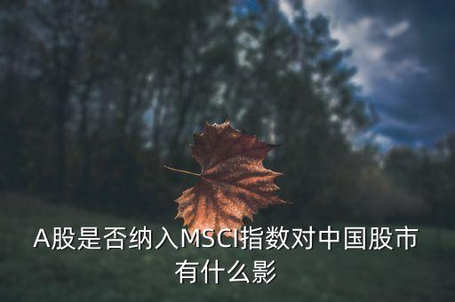 加入明晟指數(shù)有什么用，中國(guó)A股納入明晟會(huì)有什么影響