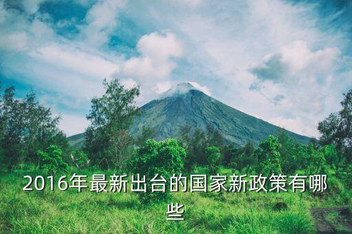 2016年什么新政策，2016年國(guó)家有什么新政策