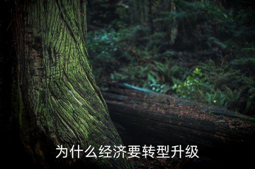 為什么經(jīng)濟(jì)要轉(zhuǎn)型升級(jí)