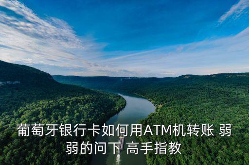 葡萄牙銀行卡如何用ATM機(jī)轉(zhuǎn)賬 弱弱的問(wèn)下 高手指教