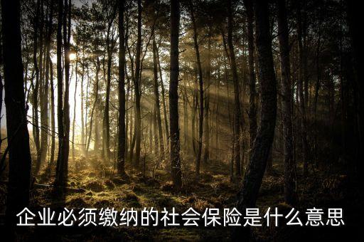 企業(yè)必須繳納的社會保險是什么意思