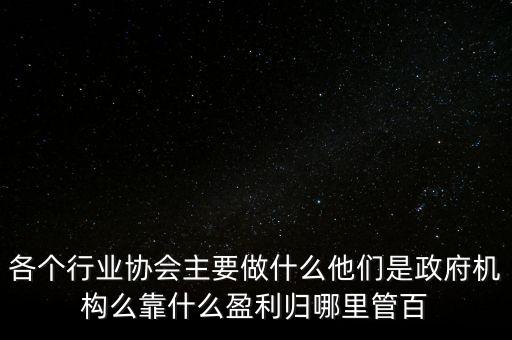 各個(gè)行業(yè)協(xié)會(huì)主要做什么他們是政府機(jī)構(gòu)么靠什么盈利歸哪里管百