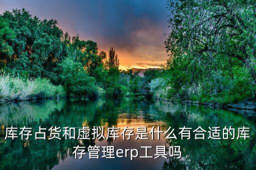庫存占貨和虛擬庫存是什么有合適的庫存管理erp工具嗎