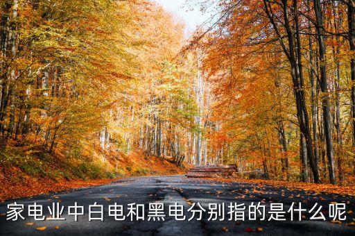 家電業(yè)中白電和黑電分別指的是什么呢