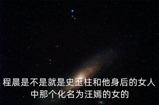 史玉柱和程晨是什么關系，程晨是不是就是史玉柱和他身后的女人中那個化名為汪嫣的女的