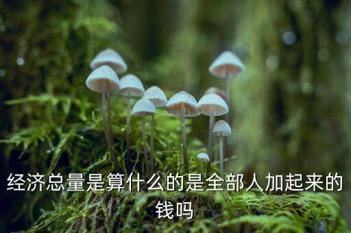 經(jīng)濟總量是什么，什么是經(jīng)濟產(chǎn)出總量