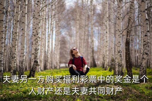 夫妻另一方購(gòu)買(mǎi)福利彩票中的獎(jiǎng)金是個(gè)人財(cái)產(chǎn)還是夫妻共同財(cái)產(chǎn)