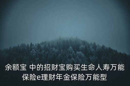 余額寶 中的招財寶購買生命人壽萬能保險e理財年金保險萬能型