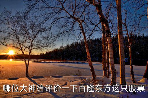 百隆東方為什么破凈，哪位大神給評價一下百隆東方這只股票