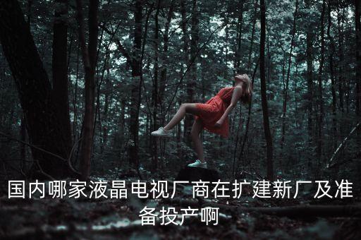深天馬公司是做什么的，ITMESAT崗
