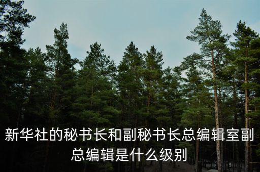 彭樹杰是什么級(jí)別，中林集團(tuán)董事長是什么行政級(jí)別