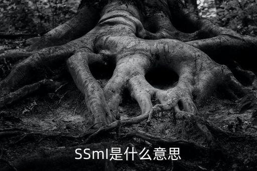 SSmI是什么意思